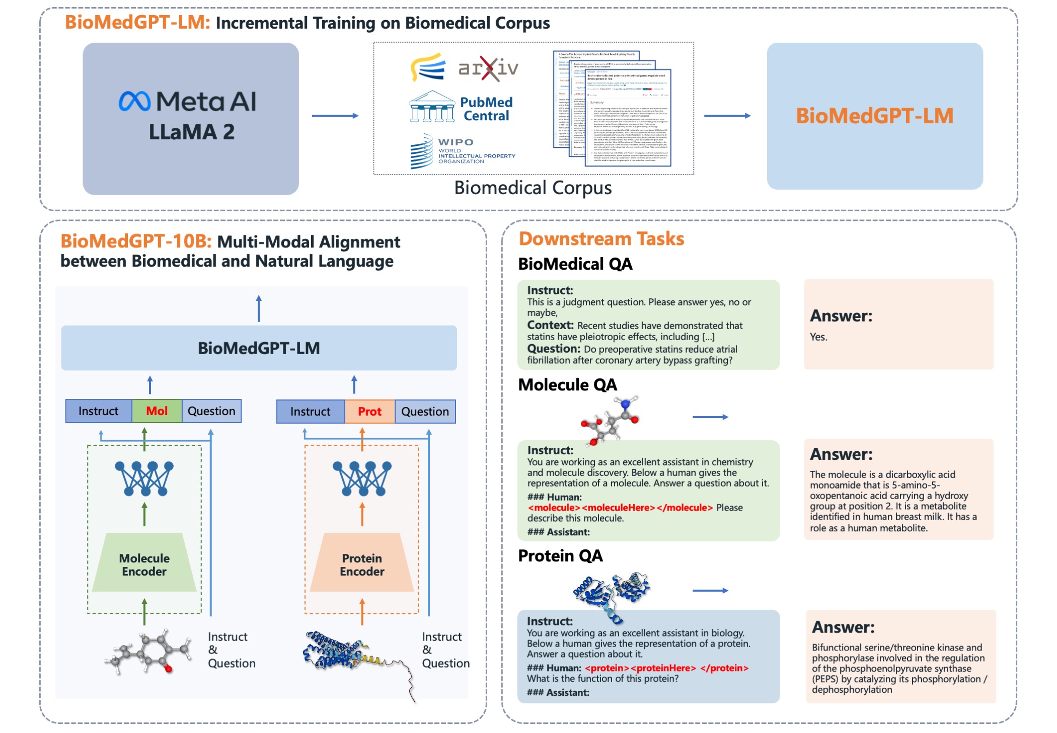 The architecture of BioMedGPT-10B