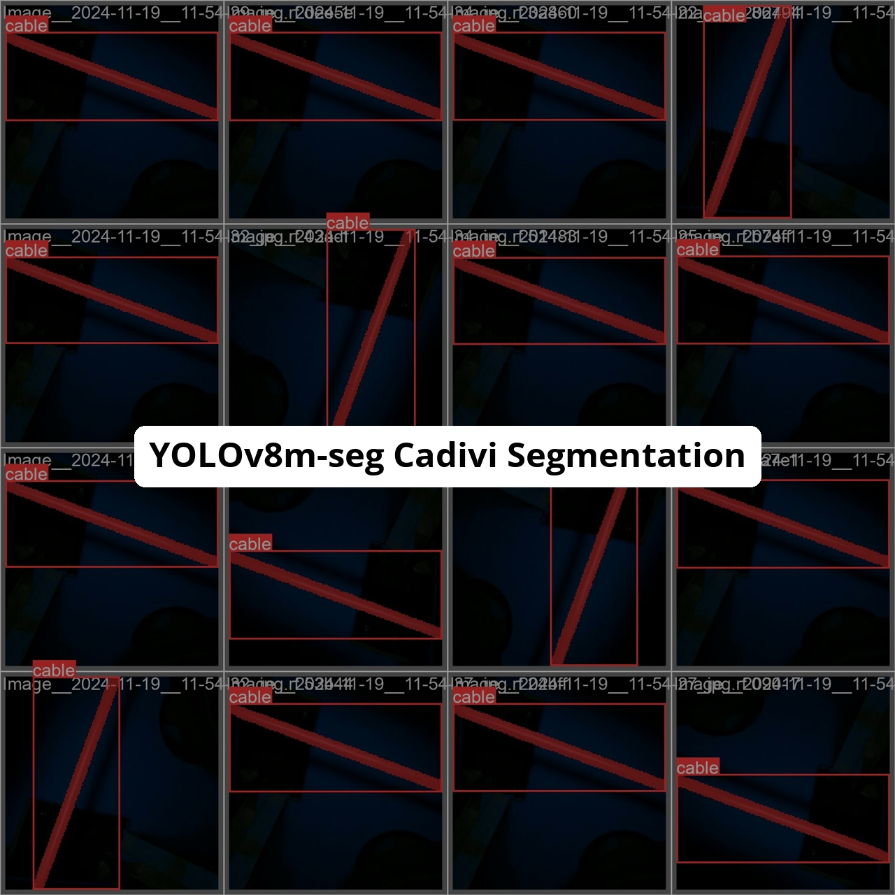 chanelcolgate/cadivi-segment-yolov8m-v2