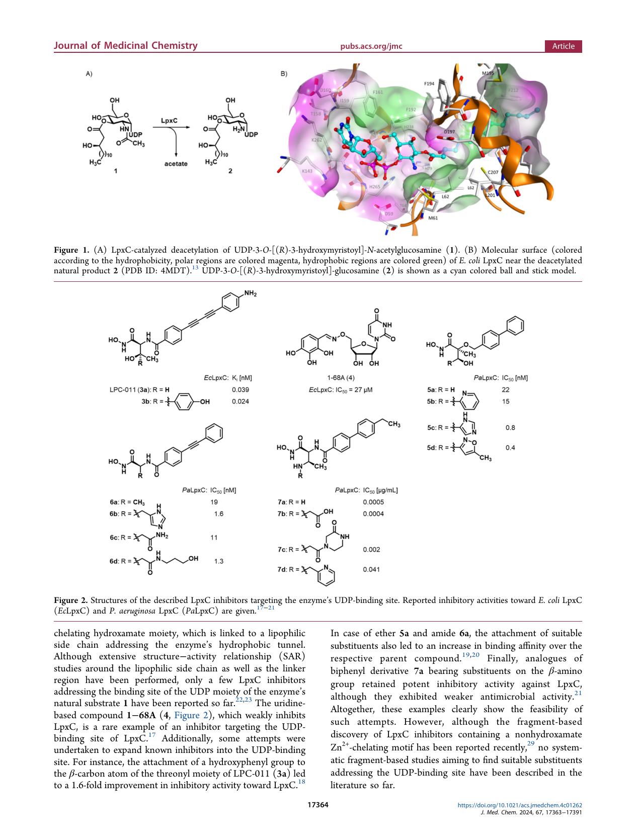 mielniczuk-et-al-2024-development-of-fragment-base-02_png.rf.adc9d6ed2d3b0b00af5972d5daf43b23.jpg