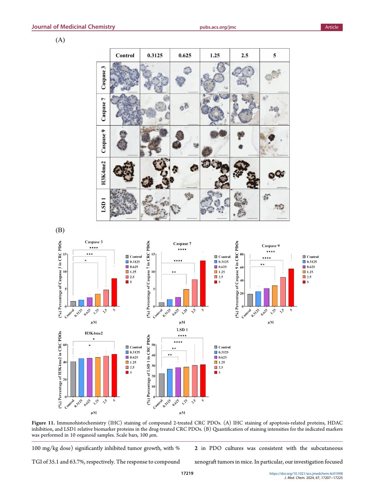 chou-et-al-2024-syntheses-of-lsd1-hdac-inhibitors-13_png.rf.ef04e0ab5cad97ddd41d8fe08279f225.jpg