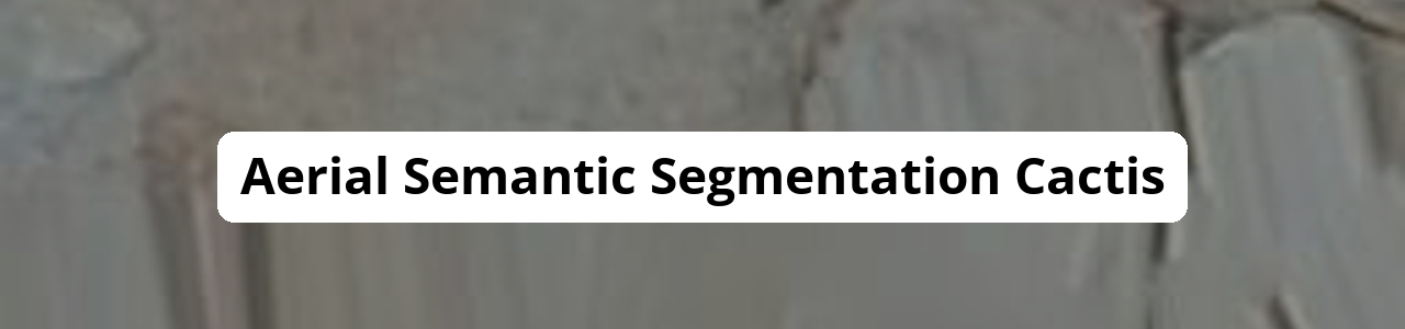 aghent/Aerial-Semantic-Segmentation-Cactis