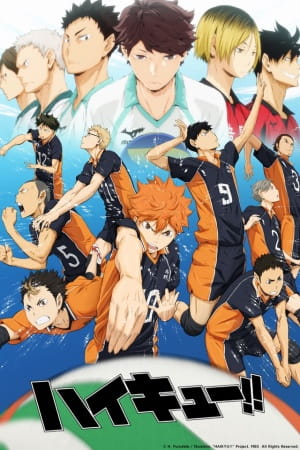 20583__haikyuu