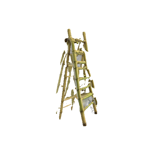 a_bamboo_ladder.png