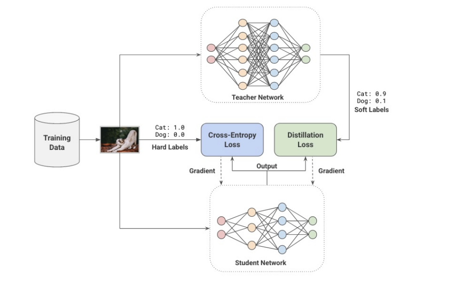 knowledge_distillation.png