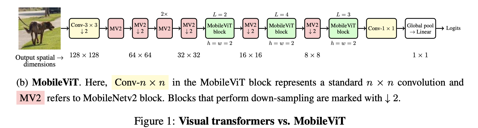 MobileVit - Architecture.png