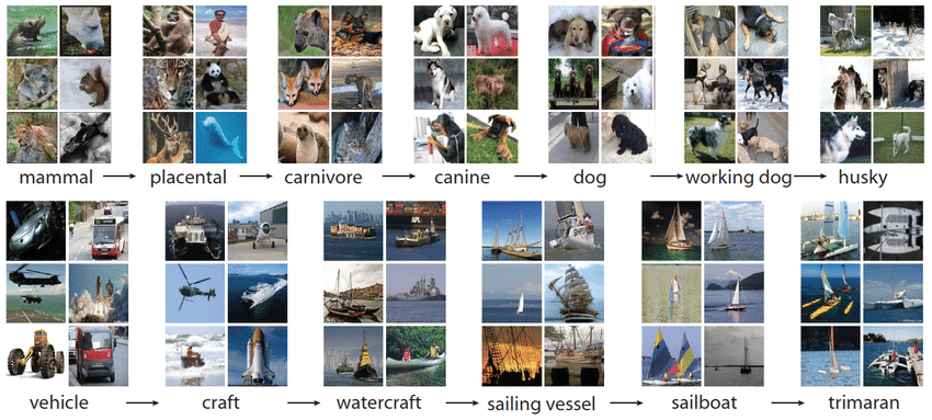 imagenet.png