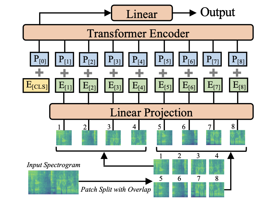 The audio spectrogram transformer works on a sequence of patches taken from the spectrogram