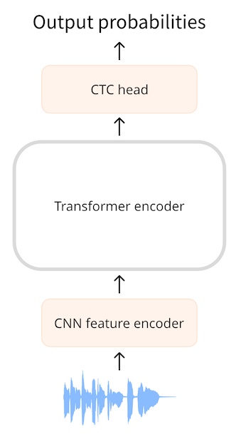 Transformer encoder with a CTC head on top