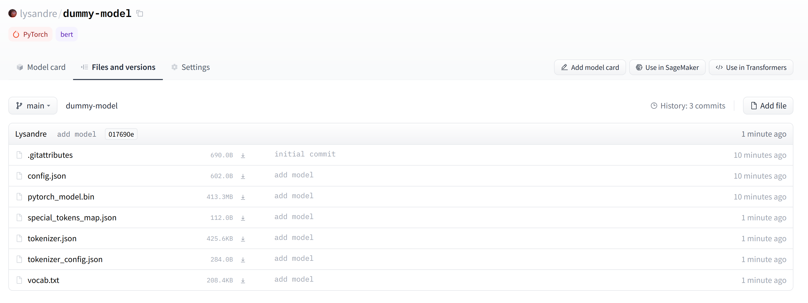 Dummy model containing both the tokenizer and model files.