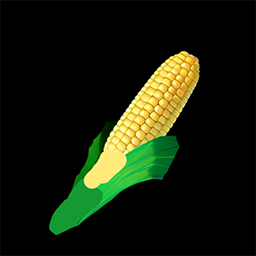 Corn 3