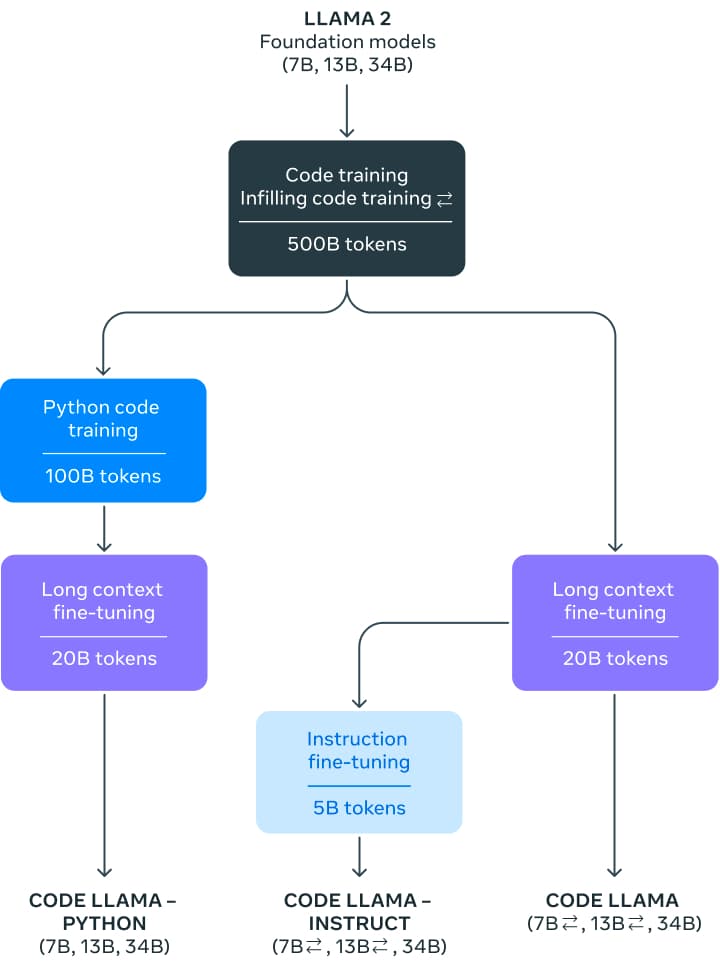 Training Process