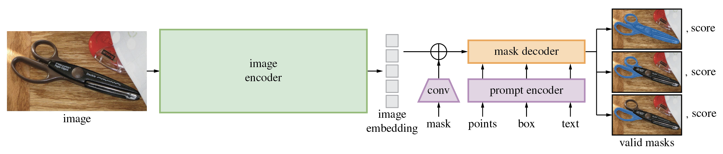 Model architecture