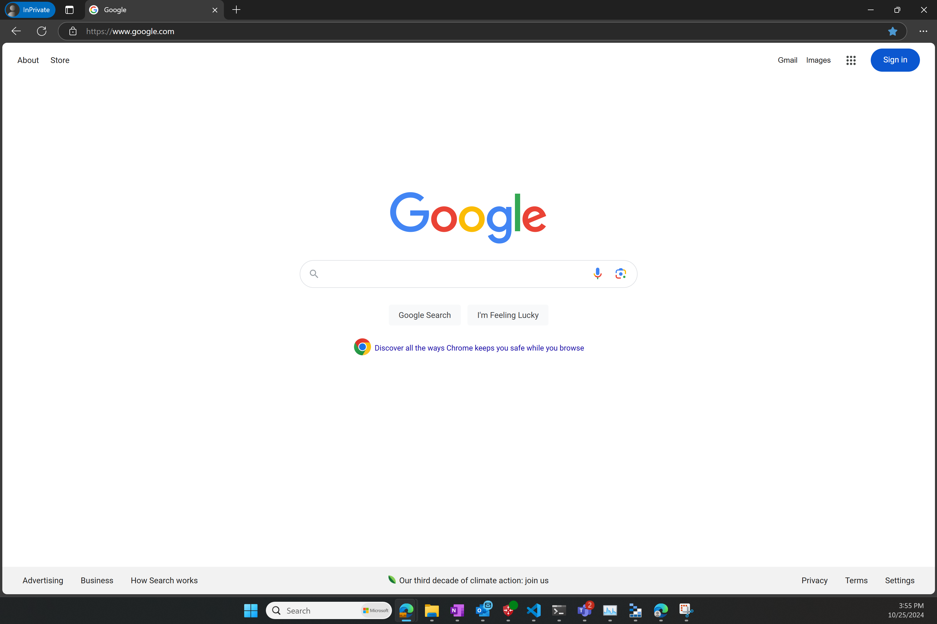 google_page.png