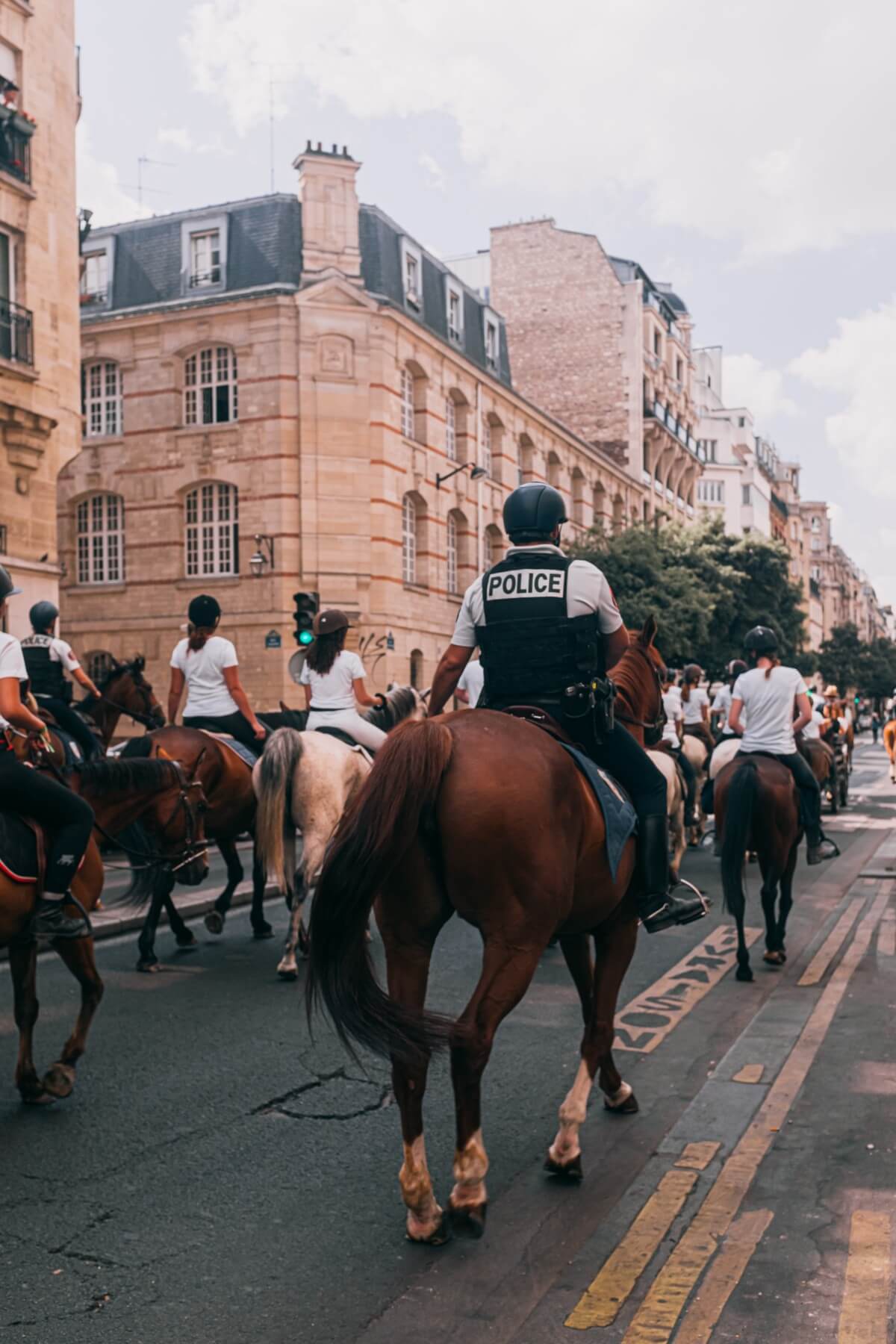 man-in-black-and-white-jacket-riding-brown-horse-3596689.jpg