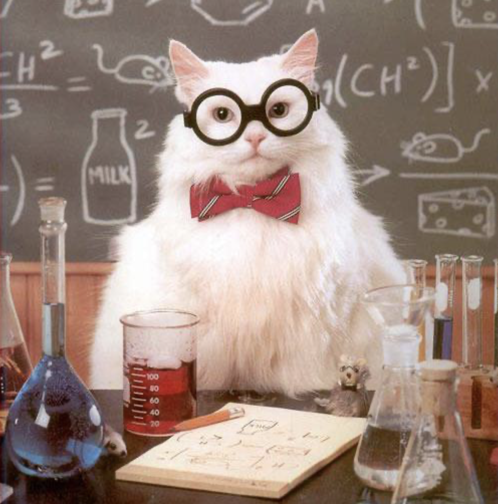 science-cat.png