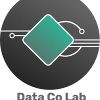 Data Co Lab ltd's profile picture