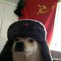 Federov's profile picture