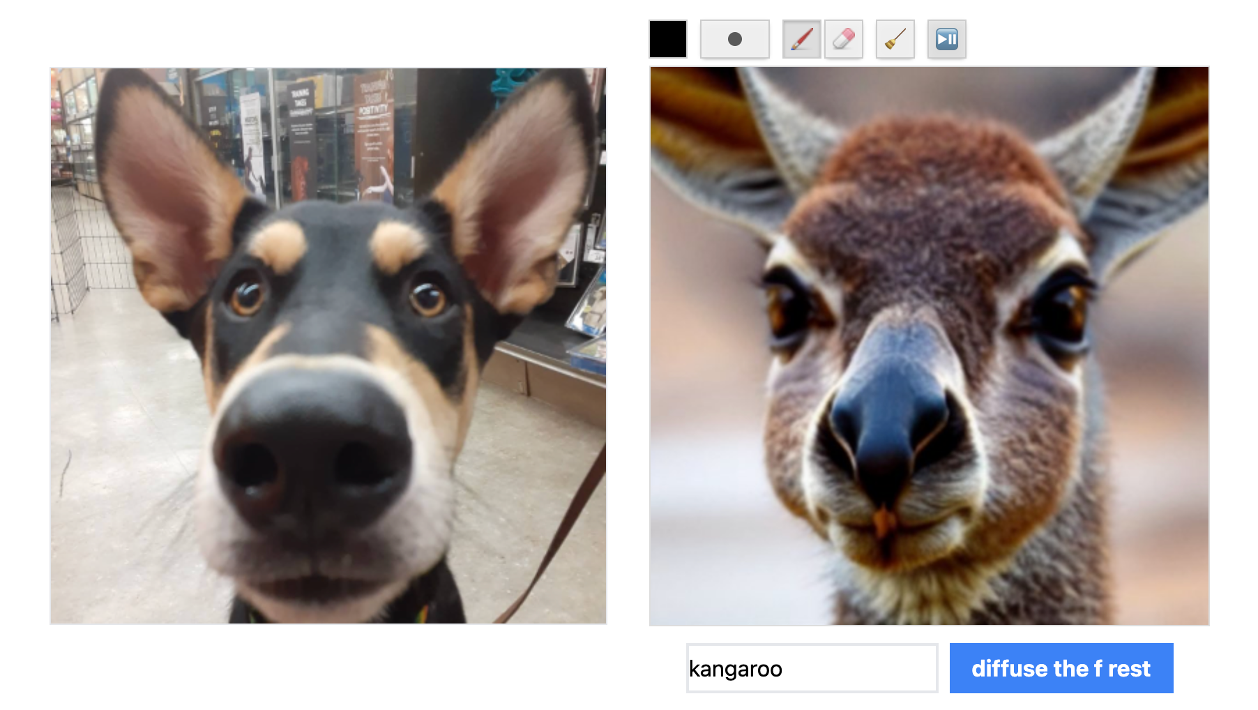 kangaroo.png