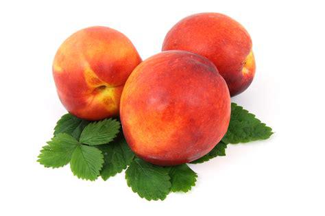 Nectarines