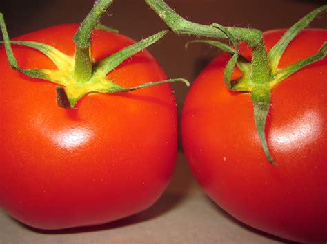 Tomatoes