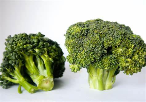 Broccoli