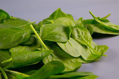 Spinach